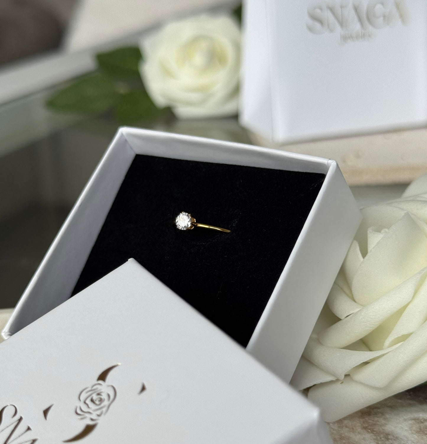 REVELATION │ BAGUE