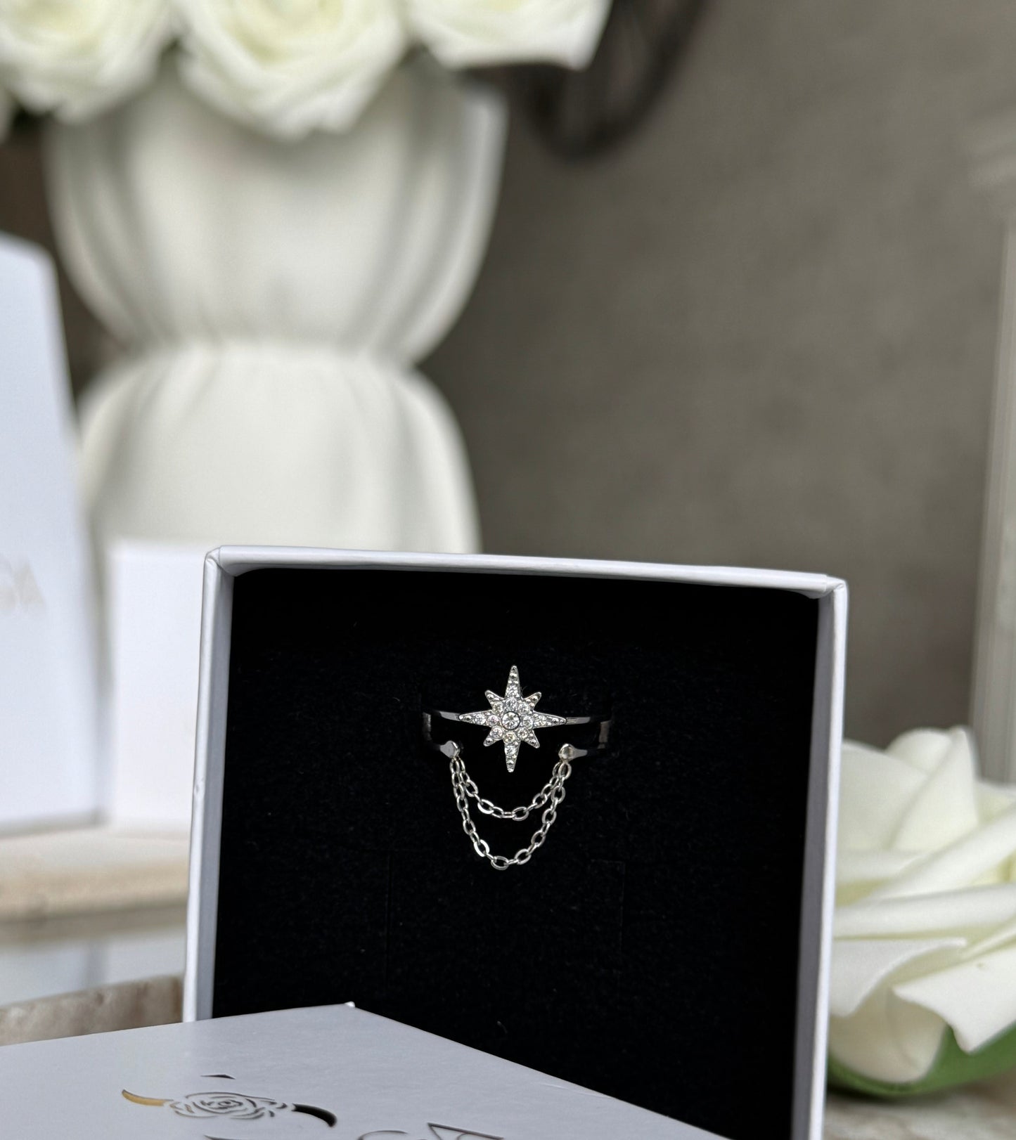 SHINY ARGENTÉE │ BAGUE