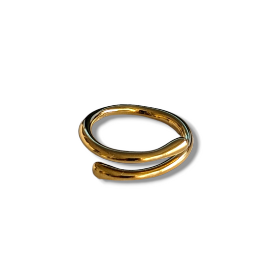 LIEN │ BAGUE